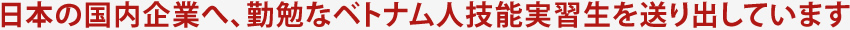 日本の国内企業へ、勤勉なベトナム人技能実習生を送り出しています